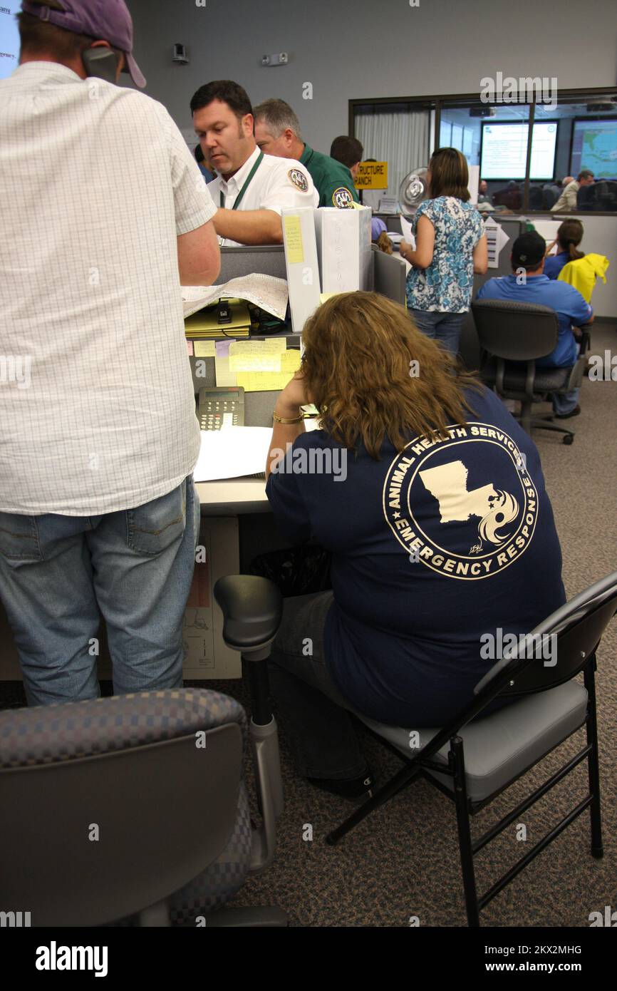 Hurricane Gustav, Baton Rouge, LA, 3 settembre 2008 i dipendenti dei servizi di salute degli animali nell'EOC, durante gli sforzi di ripristino di emergenza per l'uragano Gustav. Jacinta Quesada/FEMA.. Fotografie relative a disastri e programmi, attività e funzionari di gestione delle emergenze Foto Stock