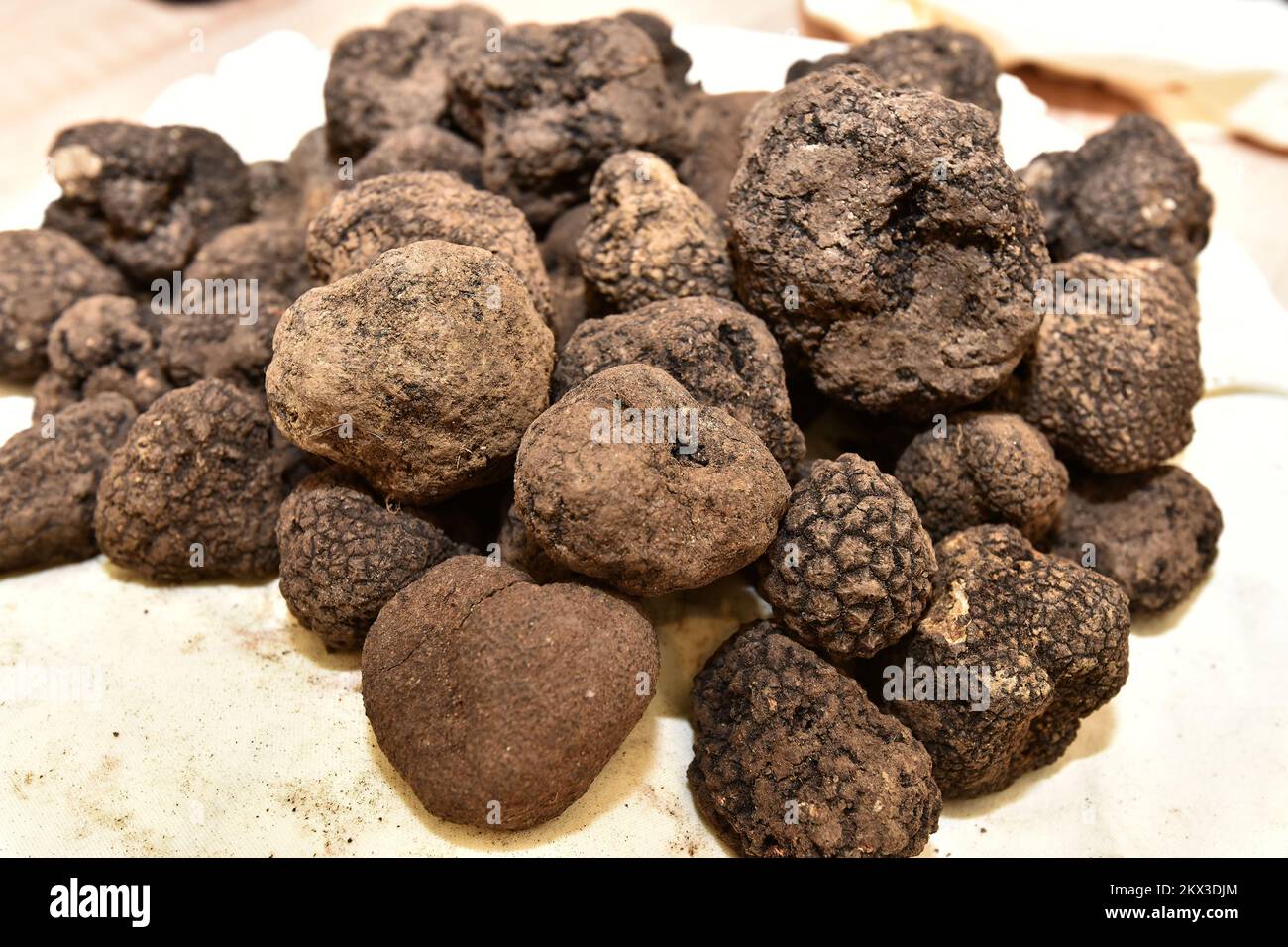 01.10.2017., Croazia, Livade - Zigante Giornate del Tartufo, la più lunga  festa del Tartufo nel mondo. Il festival di quest'anno dura in totale dieci  fine settimana. Gli organizzatori sperano che il festival