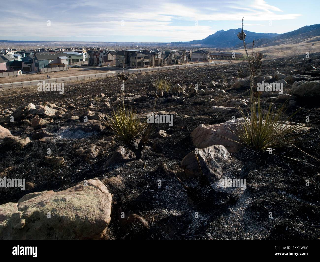 Fuoco selvquale - Boulder, Colom. , 8 gennaio 2009 i Vigili del fuoco hanno salvato la suddivisione di Dakota Ridge dal fuoco di fase vecchia perché è stato costruito con una strada esterna che protegge le case dagli incendi della terra selvatica. Foto: Michael Rieger/FEMA. Colorado Olde Stage fuoco. Fotografie relative a disastri e programmi, attività e funzionari di gestione delle emergenze Foto Stock