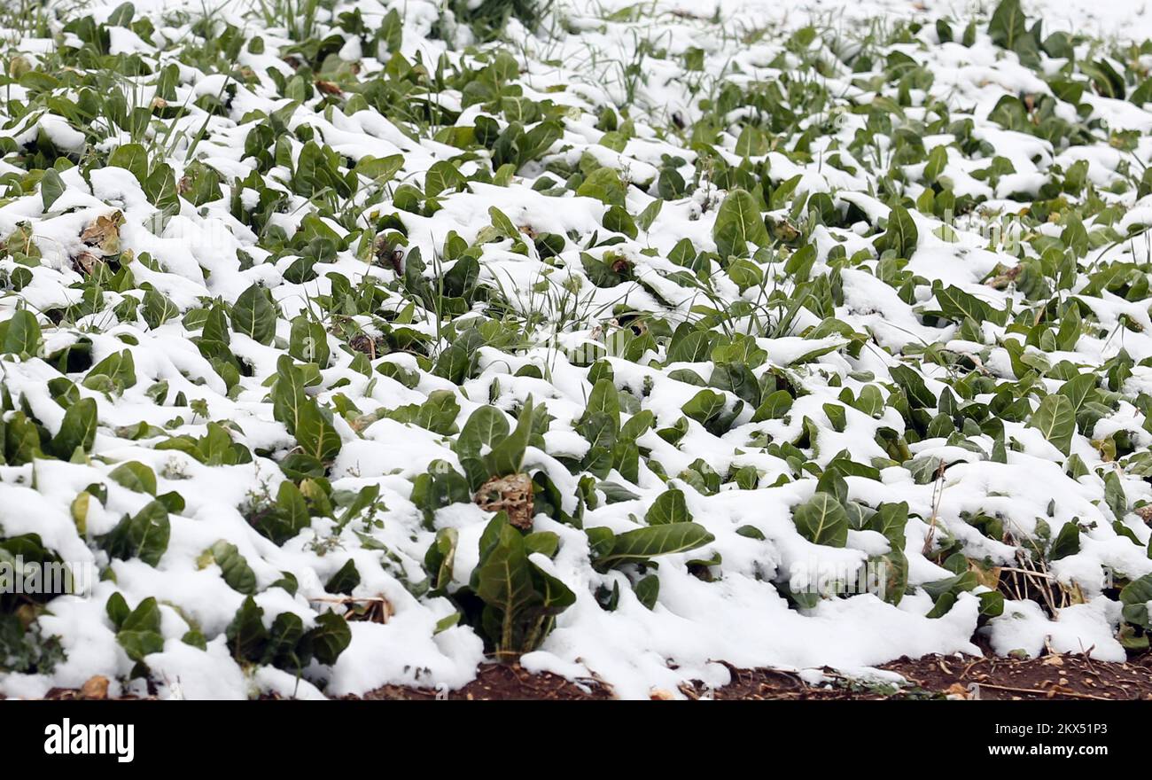 25.02.2018., Croazia, Unesic - atmosfera invernale a Zagora. Unesic e le capanne circostanti sono coperte di neve. Foto: Dusko Jaramaz/PIXSELL Foto Stock