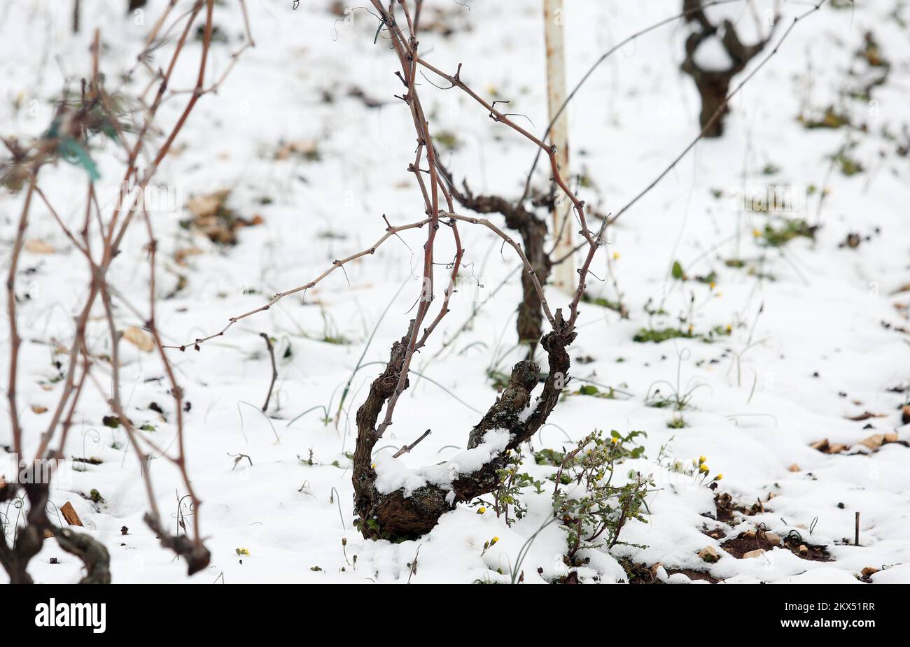 25.02.2018., Croazia, Unesic - atmosfera invernale a Zagora. Unesic e le capanne circostanti sono coperte di neve. Foto: Dusko Jaramaz/PIXSELL Foto Stock