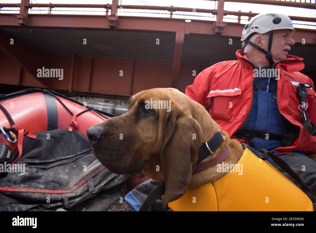 Temperature estreme alluvione grave Storm - Fargo, N. D. , 14 aprile 2009 Valley Water Rescue membro, Bud Myers e il suo cane da ricerca, 'Barnaby' ricerca di una vittima mancante nella zona di Fargo / Moorhead sul fiume Rosso. Andrea Booher/FEMA. Nord Dakota forti tempeste e inondazioni. Fotografie relative a disastri e programmi, attività e funzionari di gestione delle emergenze Foto Stock