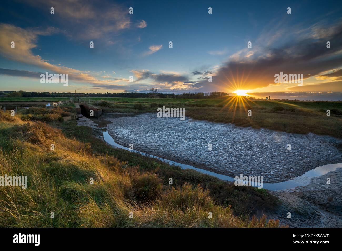 Thornham palude al tramonto, Thornham, Norfolk, Inghilterra, Regno Unito Foto Stock