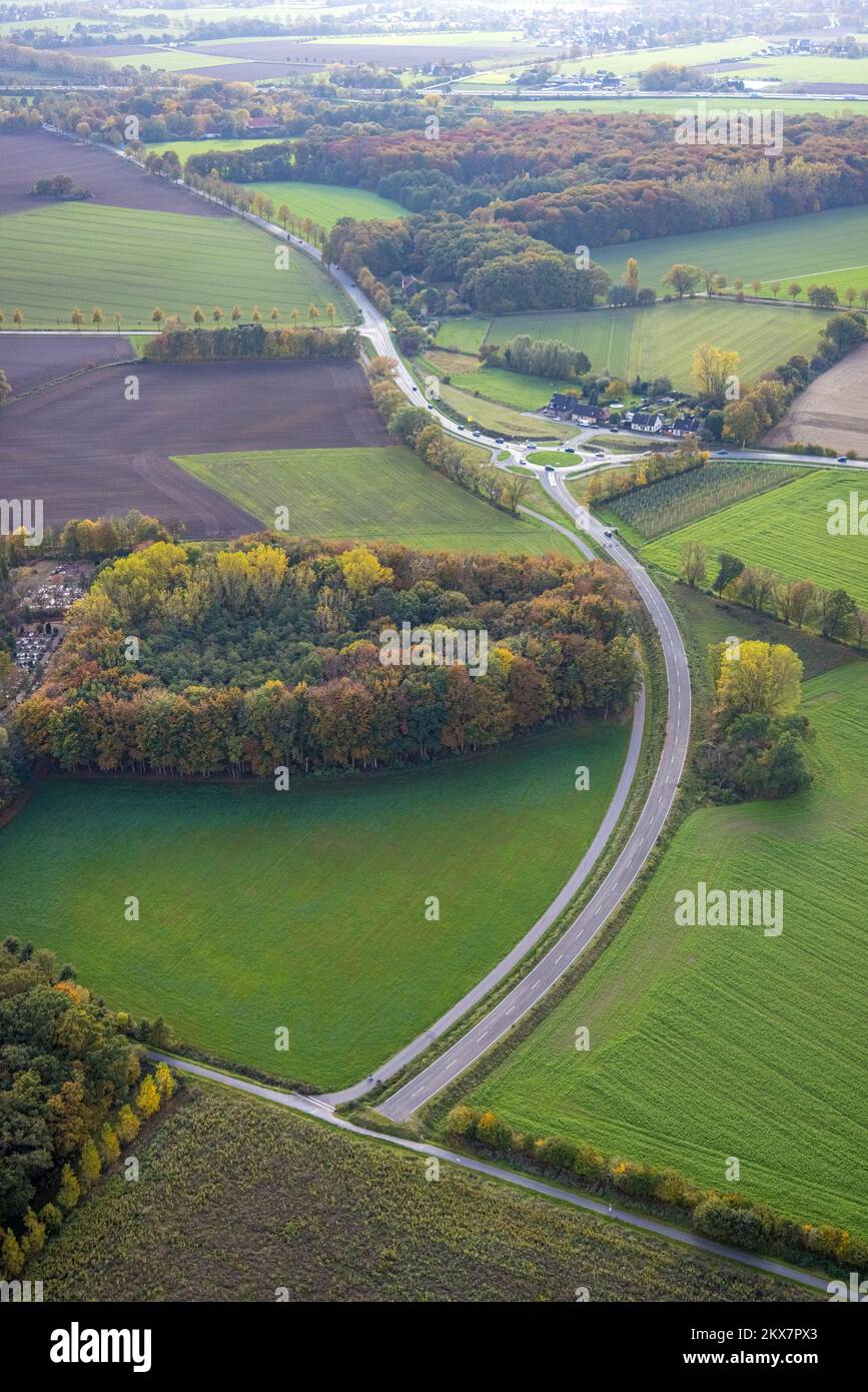 Veduta aerea, parte della strada L821n, presso il cimitero principale, Oberaden, Bergkamen, Ruhr, Renania settentrionale-Vestfalia, Germania, alberi colorati, alberi in autu Foto Stock