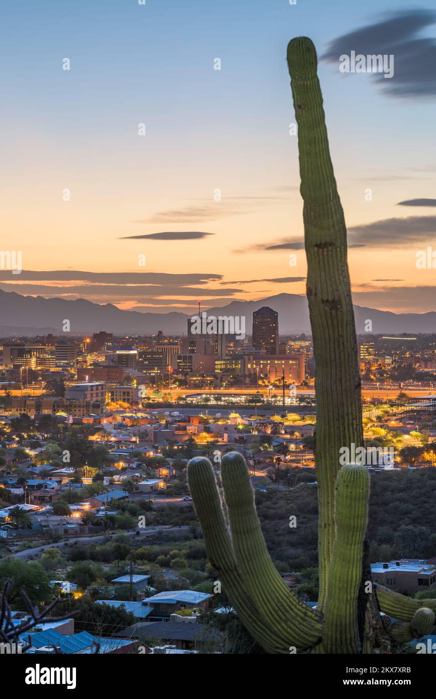 Tucson, Arizona, skyline della città degli Stati Uniti e cactus al tramonto. Foto Stock Tucson, Arizona, skyline della città degli Stati Uniti e cactus al tramonto. Foto Stock