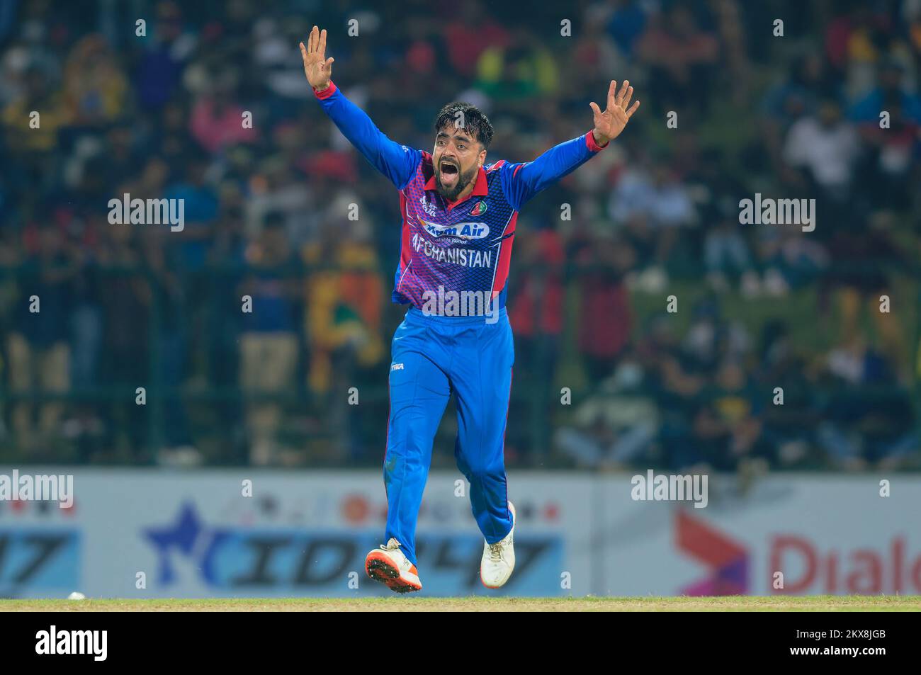 Kandy, Sri Lanka. 30th novembre 2022. Rashid Khan dell'Afghanistan lancia un appello per il wicket di Dinesh Chandimal dello Sri Lanka durante la partita di cricket ODI del 3rd tra Sri Lanka e Afghanistan al Pallekele International Cricket Stadium di Kandy il 30th novembre 2022. Viraj Kothalwala/Alamy Live News Foto Stock