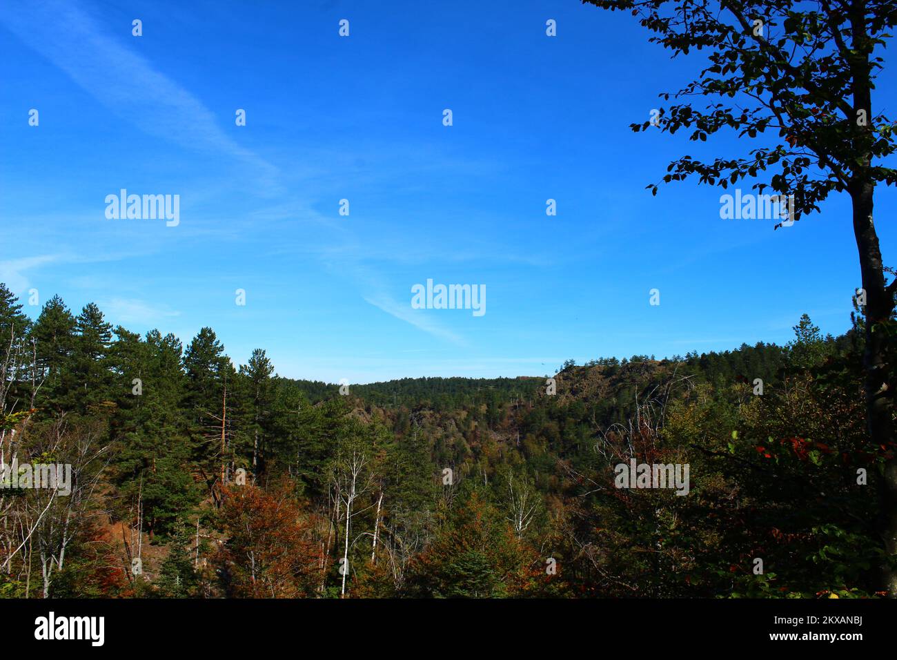 Vista sulla foresta di montagna in un giorno d'estate, in un parco nazionale in Serbia Foto Stock