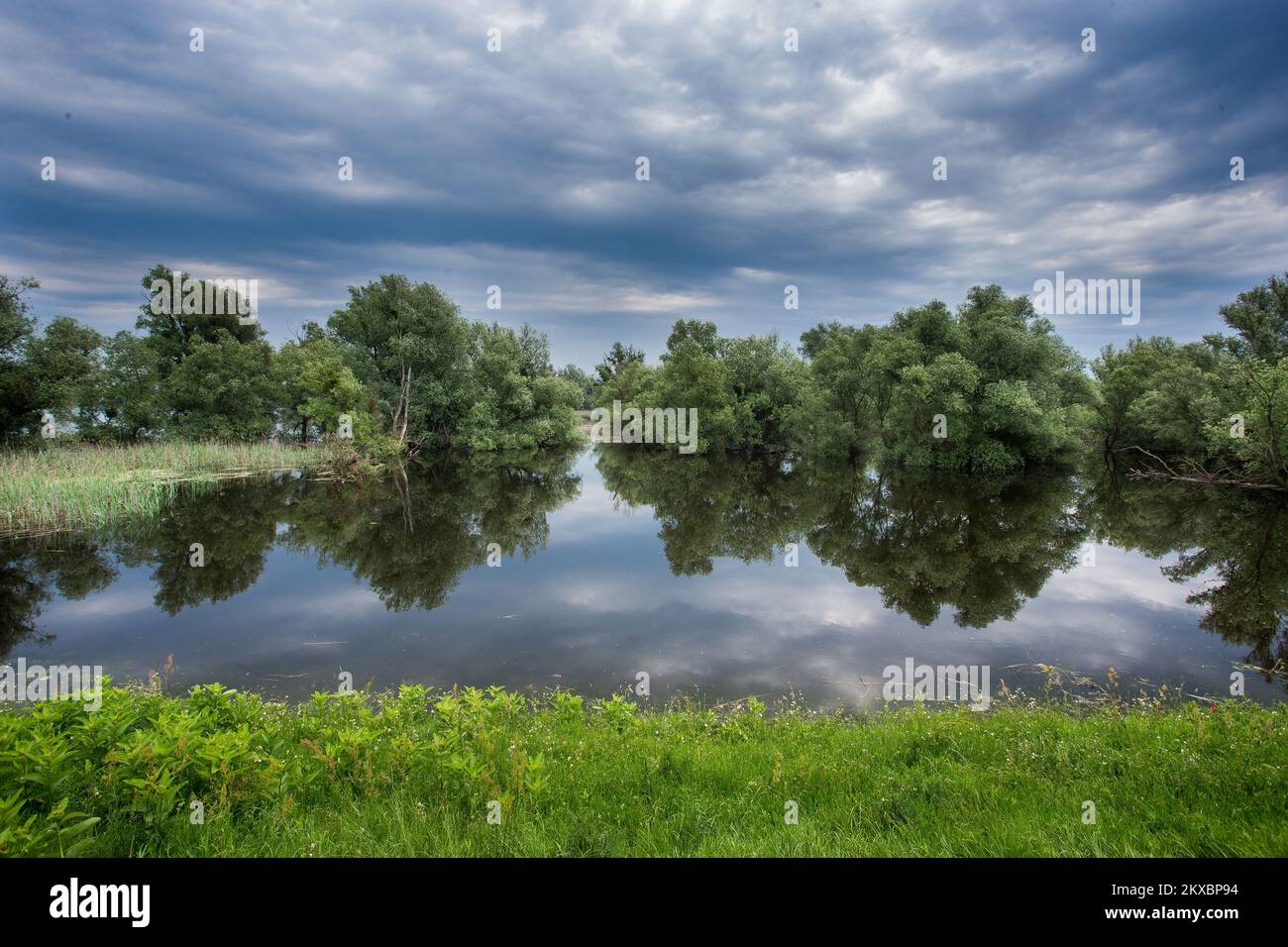 06.06.2019., Kopacki rit - Kopacki Rit è un parco naturale della Croazia orientale, situato tra i fiumi Drava e Danubio. È una delle zone umide intatte conservate più importanti, più grandi e attraenti d'Europa, con circa 260 specie di uccelli e circa 40 specie di pesci e diverse specie di mammiferi come il rosso, il cinghiale, il gatto selvatico e la donnola. Ha anche più di 140 specie di piante registrate, alcune delle quali sono molto rare e si trovano solo in pochi luoghi in Croazia. Foto: Davor Javorovic/PIXSELL Foto Stock