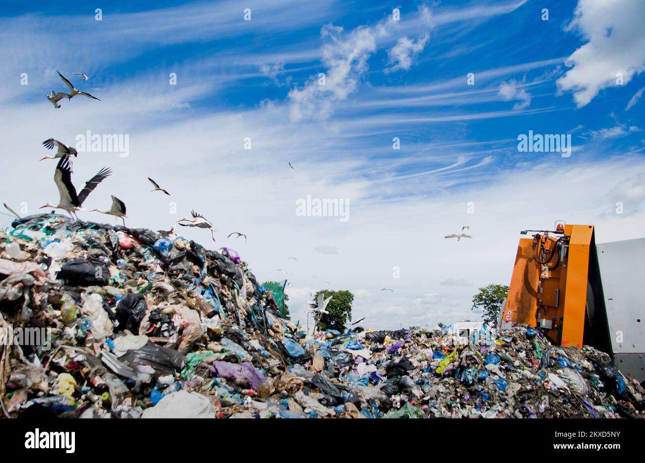 discarica inquina l'ambiente. camion di rifiuti. uccelli volano sopra discarica Foto Stock