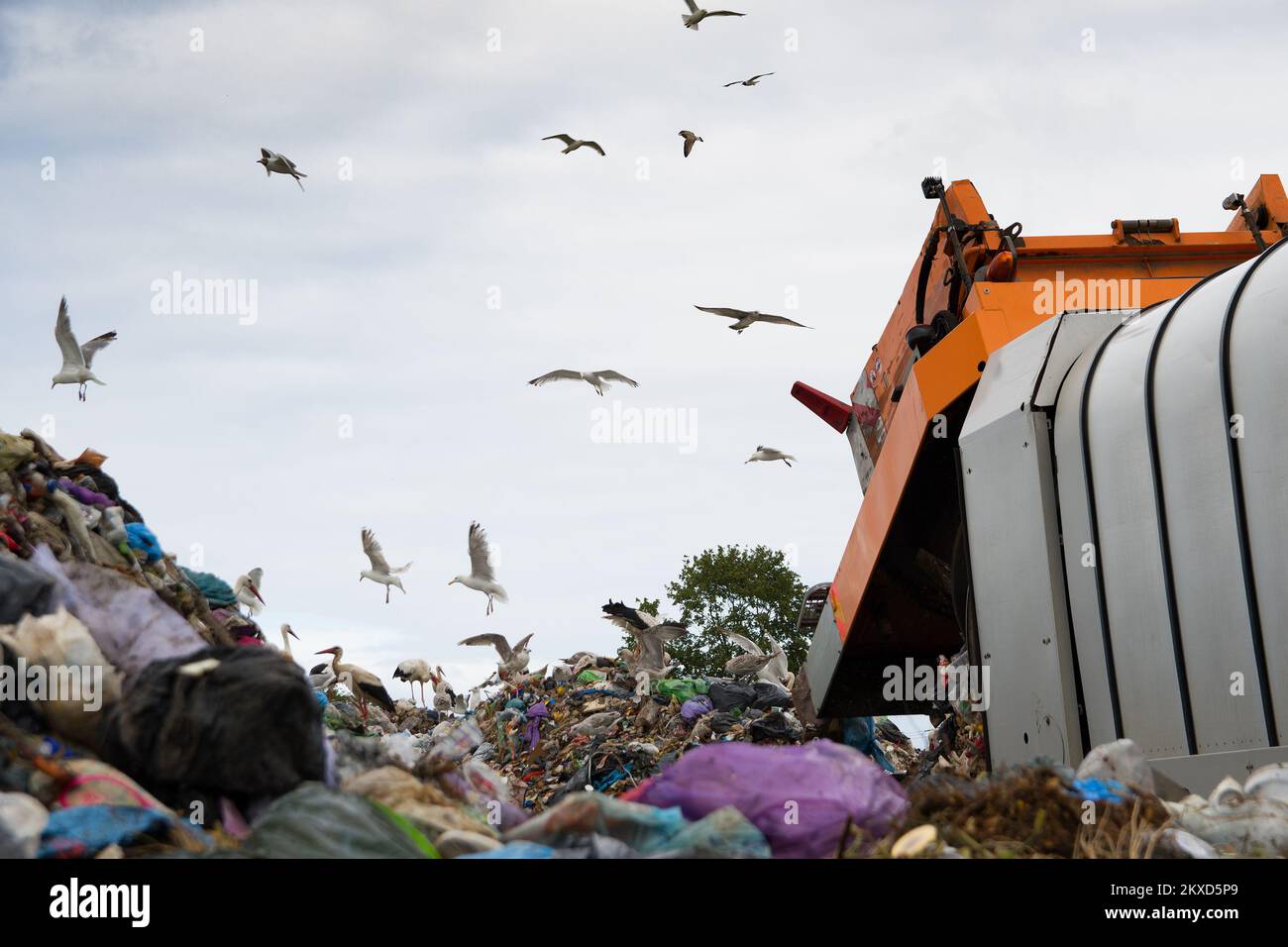 discarica inquina l'ambiente. camion di rifiuti. uccelli volano sopra discarica Foto Stock