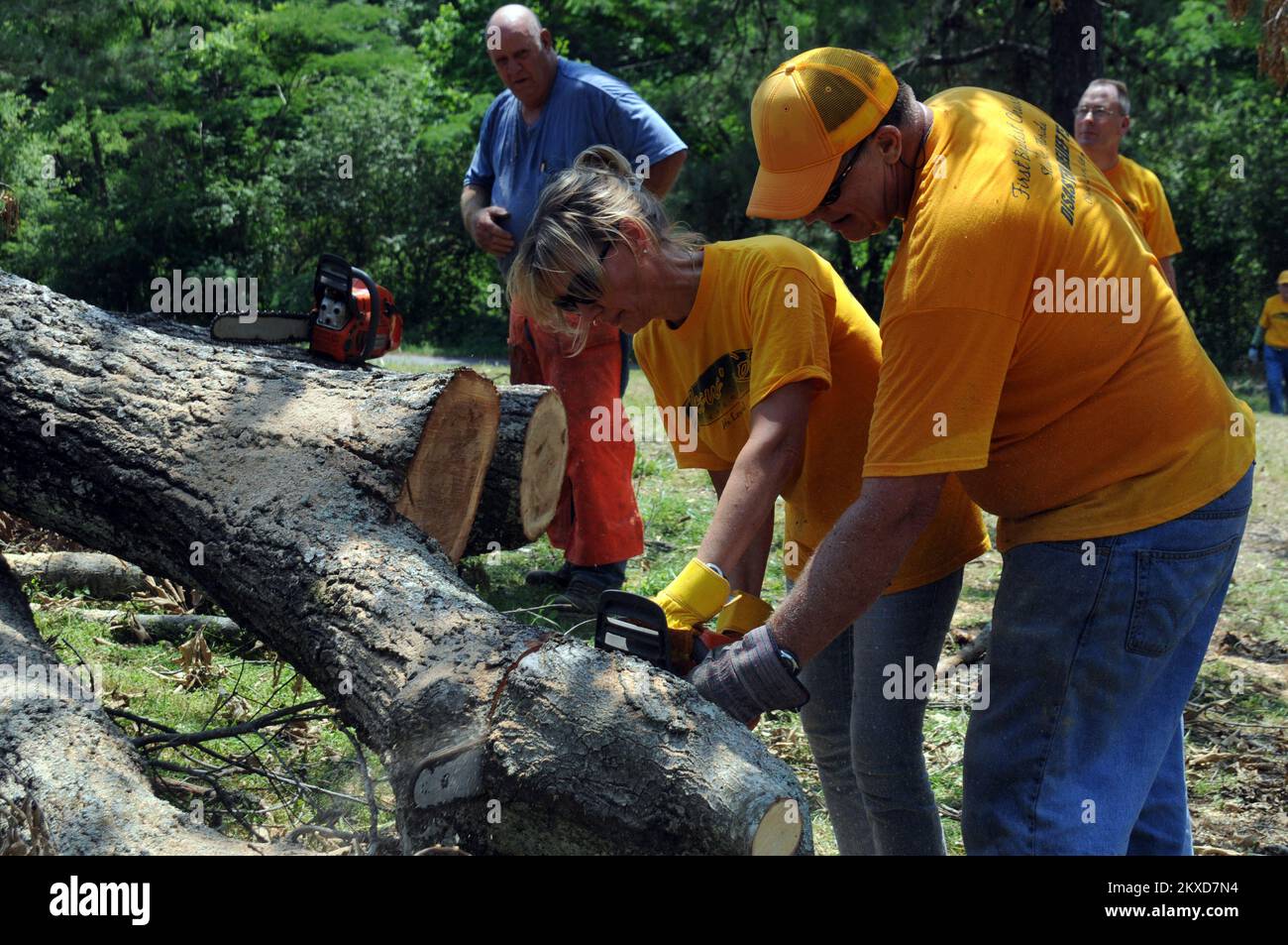 Florida Faith-based Volontarii Cancella detriti in Alabama. Alabama forti tempeste, tornado, venti in linea retta, e alluvioni. Fotografie relative a disastri e programmi, attività e funzionari di gestione delle emergenze Foto Stock
