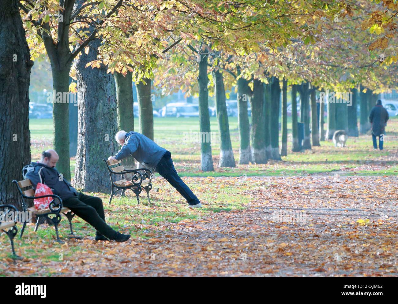 Mentre alcuni hanno usato la mattina di sole tanto attesa per l'esercitazione, altri hanno spianato fuori su una panchina a piazza Franjo Tudjman a Zagabria, Croazia il 16 novembre 2020. Foto: Sanjin Strukic/PIXSELL Foto Stock