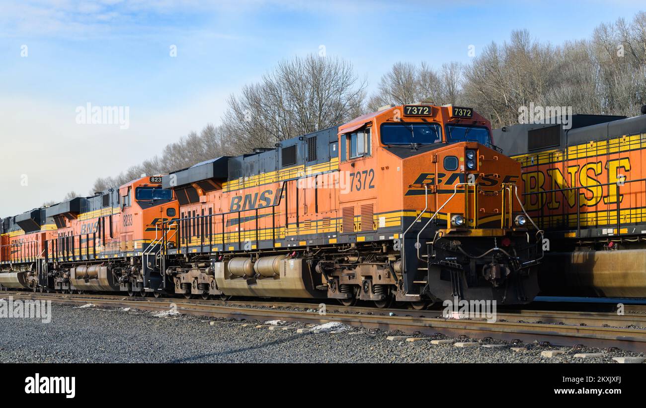 Seattle - 23 febbraio 2022; linea di motori per treni BNSF con alberi invernali in colore arancione azienda livrea arancione con nome Foto Stock