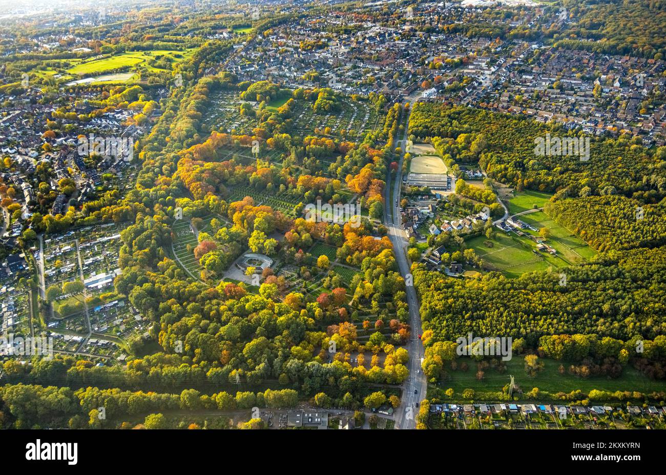 Vista aerea, giardino di assegnazione club Nappenfeld, parco cimitero, equitazione e driving club e.V., alberi in colori autunnali, Fuhlenbrock, Bottrop, Ruhr zona, Foto Stock