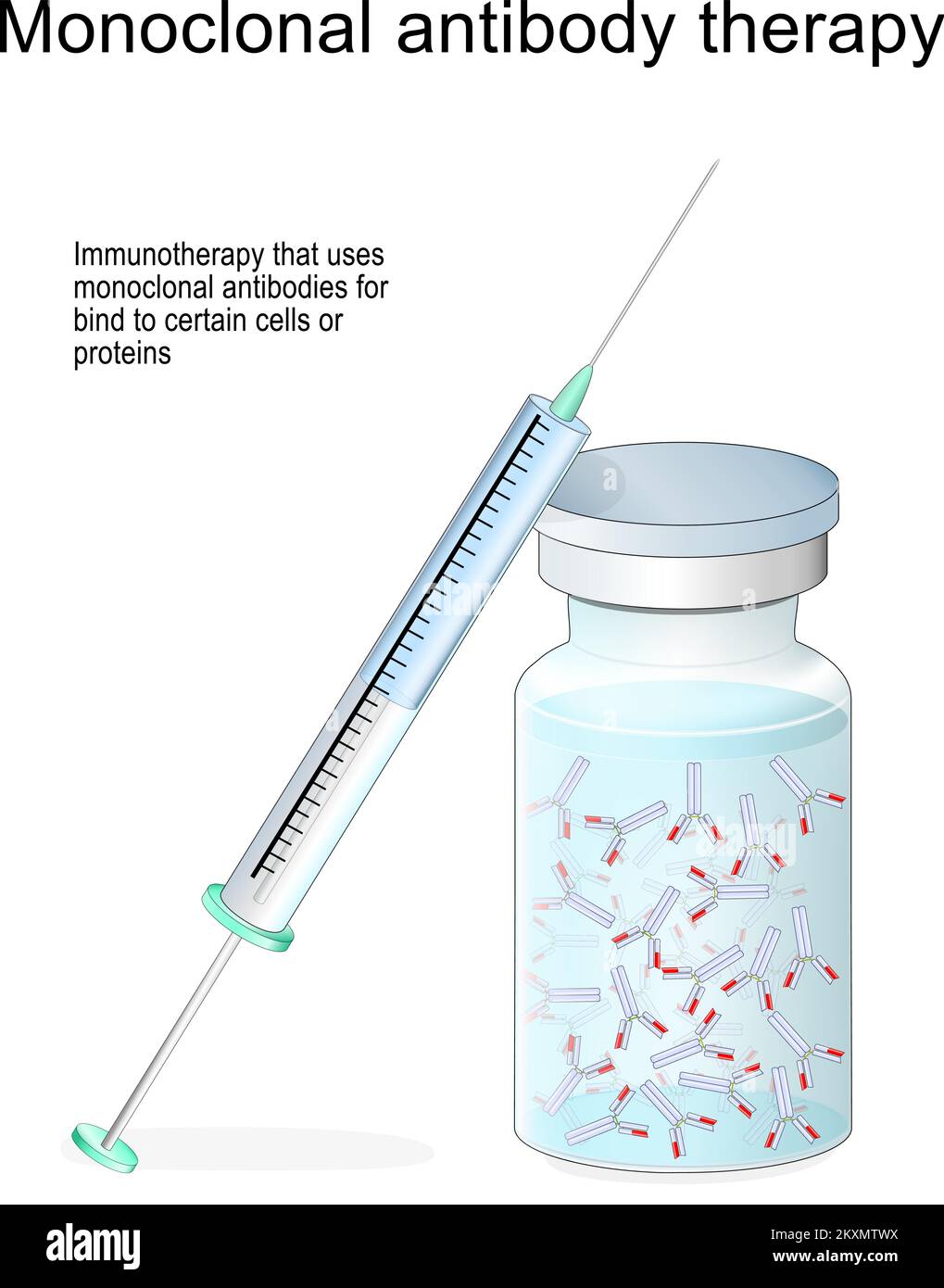 Terapia con anticorpi monoclonali. Immunoterapia che utilizza anticorpi per legarsi a determinate cellule o proteine. Trattamento del cancro, malattie autoimmuni Illustrazione Vettoriale