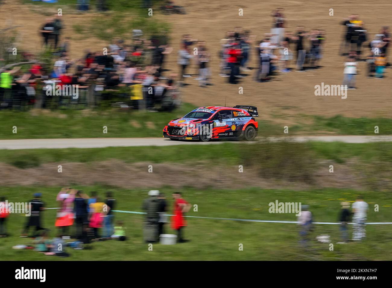 Thierry Neuville e Martijn Wydaeghe del Belgio gareggiano con il loro Hyundai Shell Mobis World Rally Team durante il secondo giorno del FIA World Rally Championship Croatia a Novigrad na Dobri, Croazia il 24 aprile 2021. Foto: Luka Stanzl Foto Stock