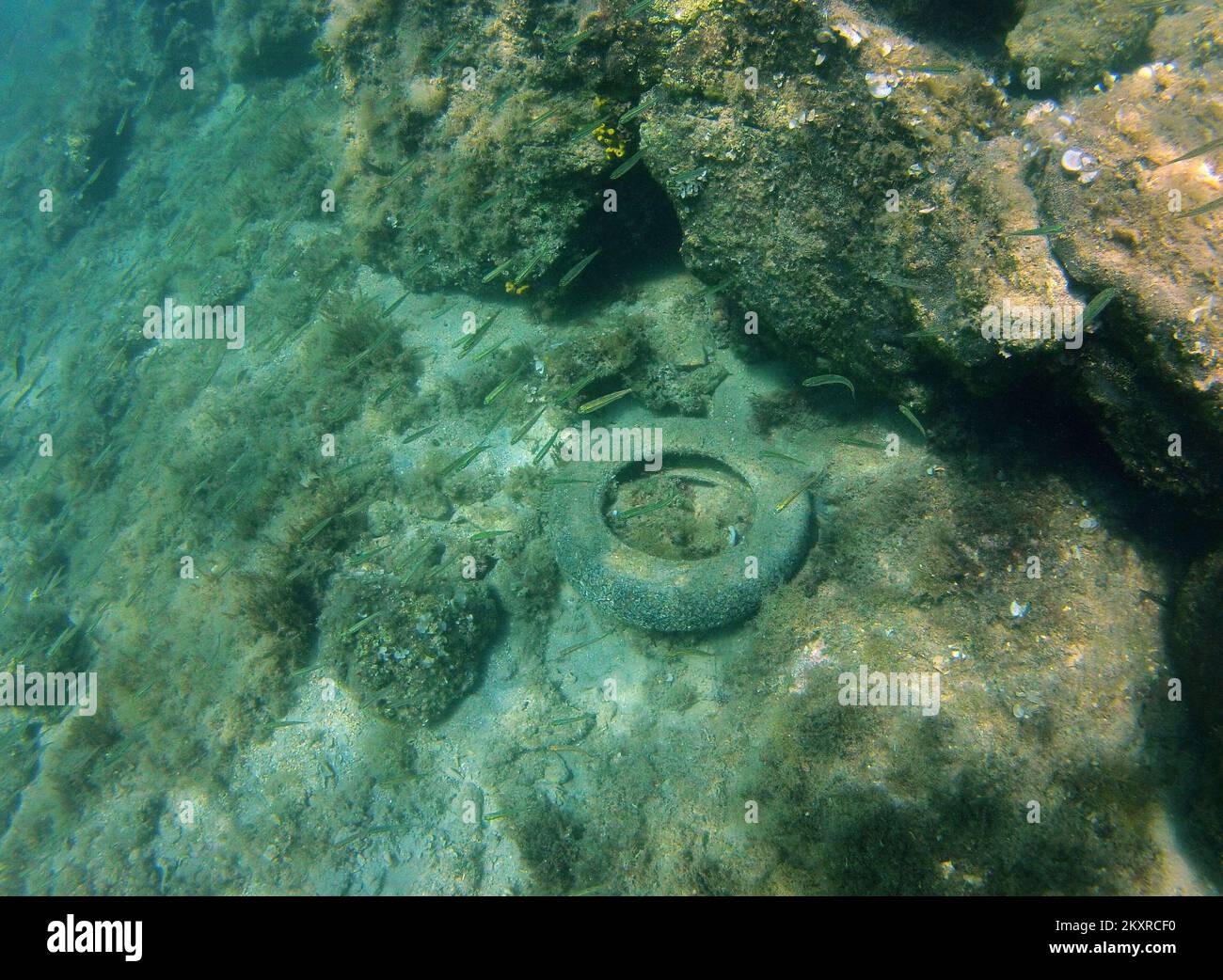Pneumatici per auto sono stati visti in fondo al mare Adriatico vicino all'isola di Pag, Croazia il 19 agosto 2021. Alcuni attivisti ambientalisti affermano che il Mare Adriatico è uno dei mari più minacciati al mondo in termini di grandi quantità di rifiuti. E' più facile per le persone senza scrupoli smaltire grandi rifiuti in mare che nelle discariche previste a tal fine, per cui i pneumatici delle automobili finiscono in fondo al mare invece che nei rifiuti. Foto: Marko Lukunic/PIXSELL Foto Stock