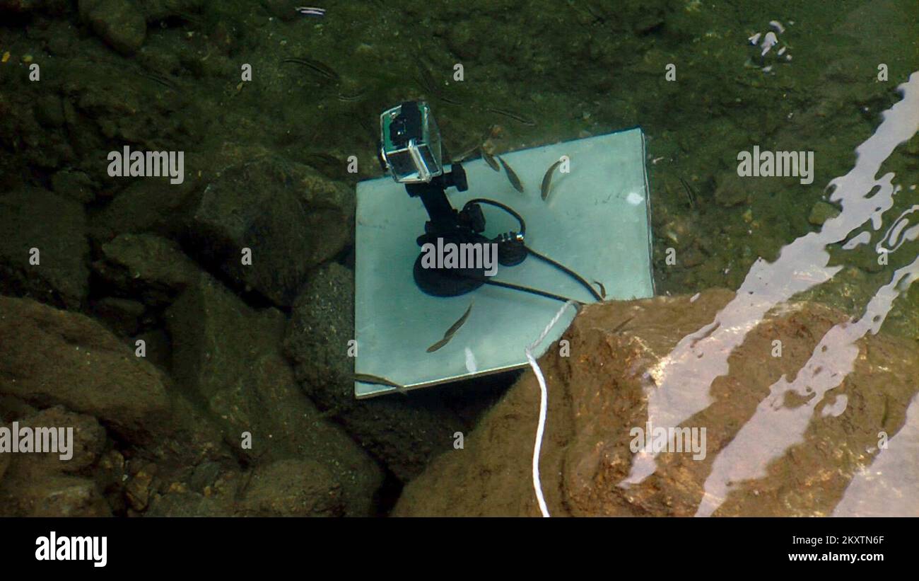 Fotocamera subacquea. Vermont Tropical Storm Irene. Fotografie relative a disastri e programmi, attività e funzionari di gestione delle emergenze Foto Stock