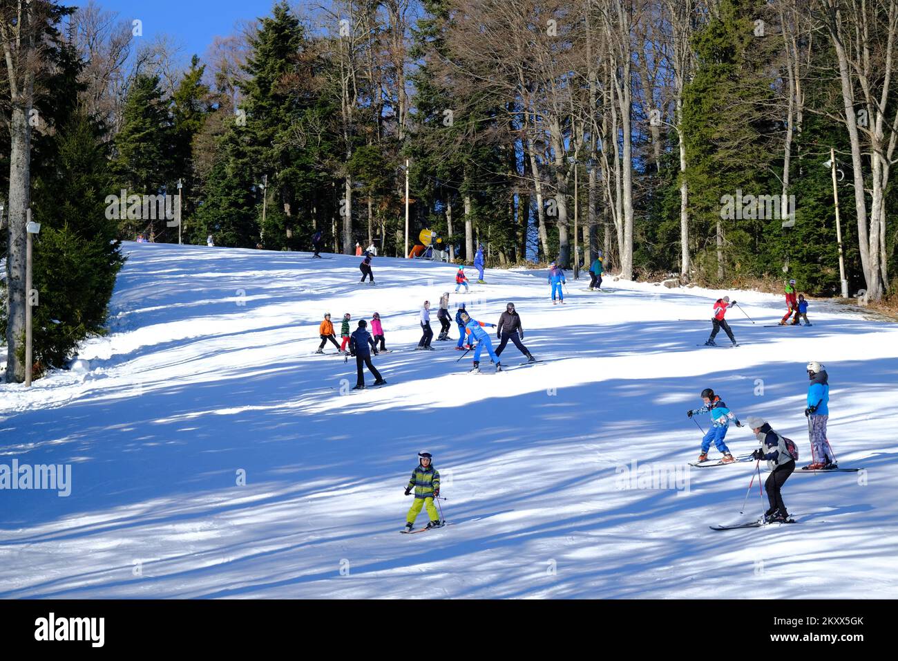 Cittadini sciare su Sljeme a Zagabria, Croazia il 15 gennaio 2022. La stagione sciistica su Sljeme è iniziata questo fine settimana e subito il primo giorno ha attirato molti sciatori e sledder. Per chi ha appena deciso di venire, sono aperte la discesa rossa (busto Crveni) e il prato bianco (Bijela livada). Foto: Slaven Branislav Babic/PIXSELL Foto Stock