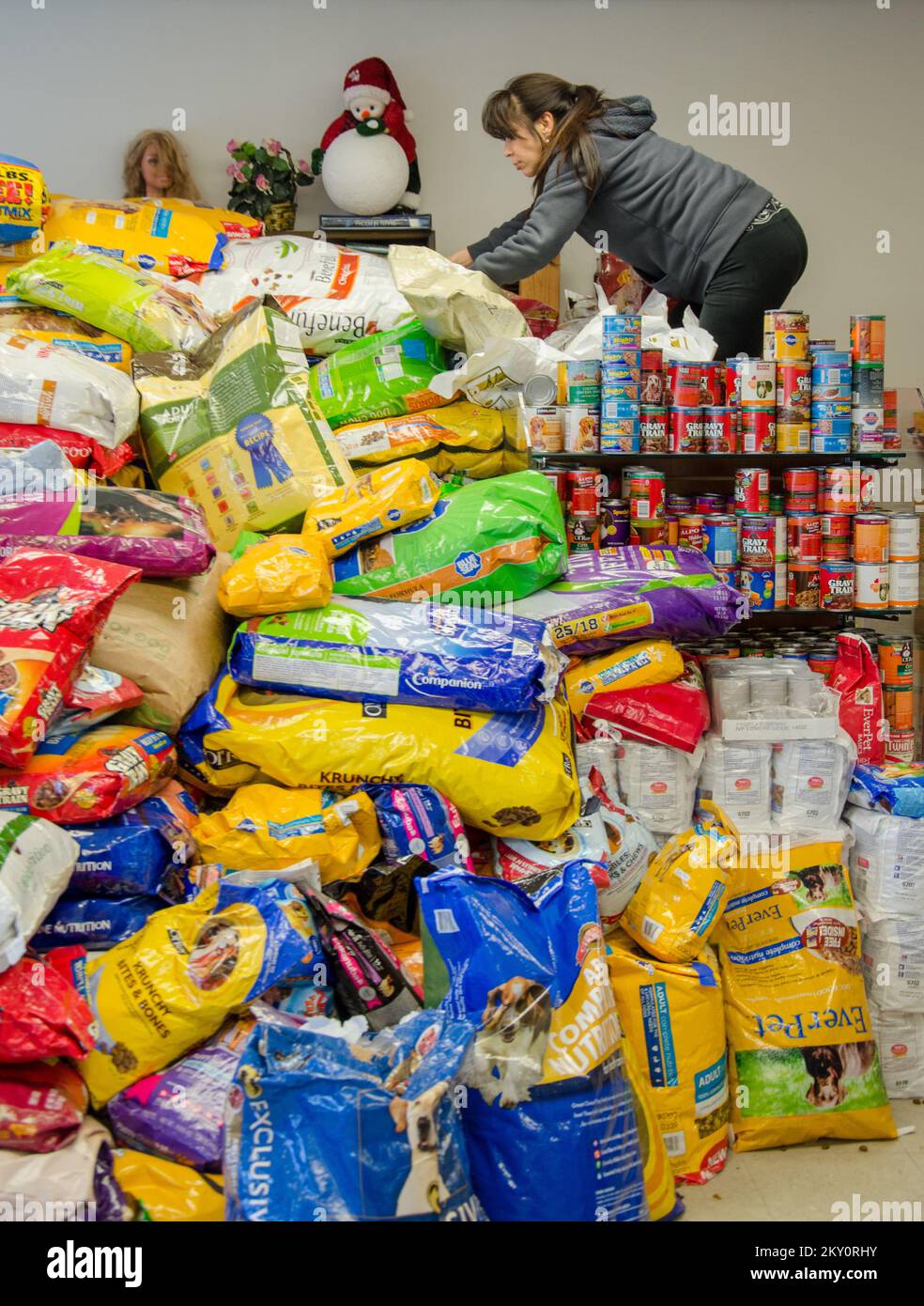 Eatontown, N.J., 17 novembre 2012 Una donna sale il mucchio gigante di cibo per cani presso la Monmouth County SPCA, dove i residenti colpiti dall'uragano Sandy possono ritirare gratuitamente il cibo donato per animali domestici. New Jersey Hurricane Sandy. Fotografie relative a disastri e programmi, attività e funzionari di gestione delle emergenze Foto Stock