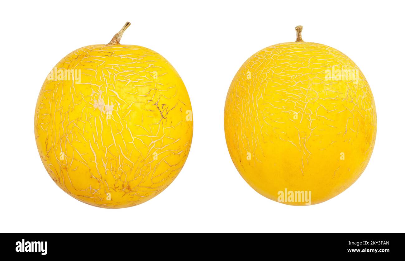 percorso giallo melone isolato su bianco Foto Stock