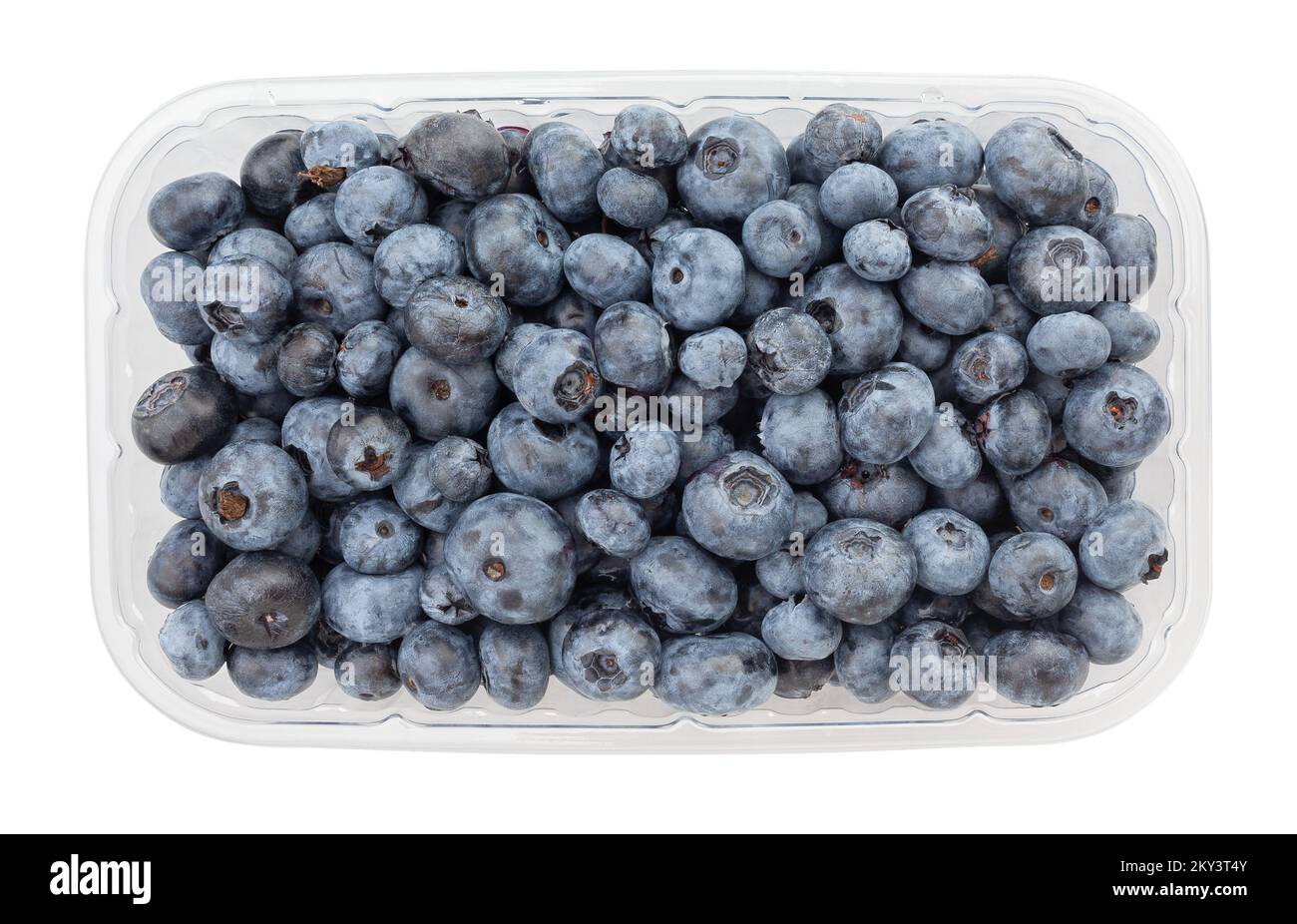 blueberry percorso isolato sulla vista dall'alto bianca Foto Stock