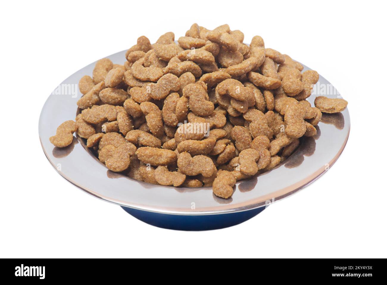 Alimentazione asciutta in una ciotola di metallo per animali. Alimentazione olistica equilibrata senza grani per cani. Foto Stock