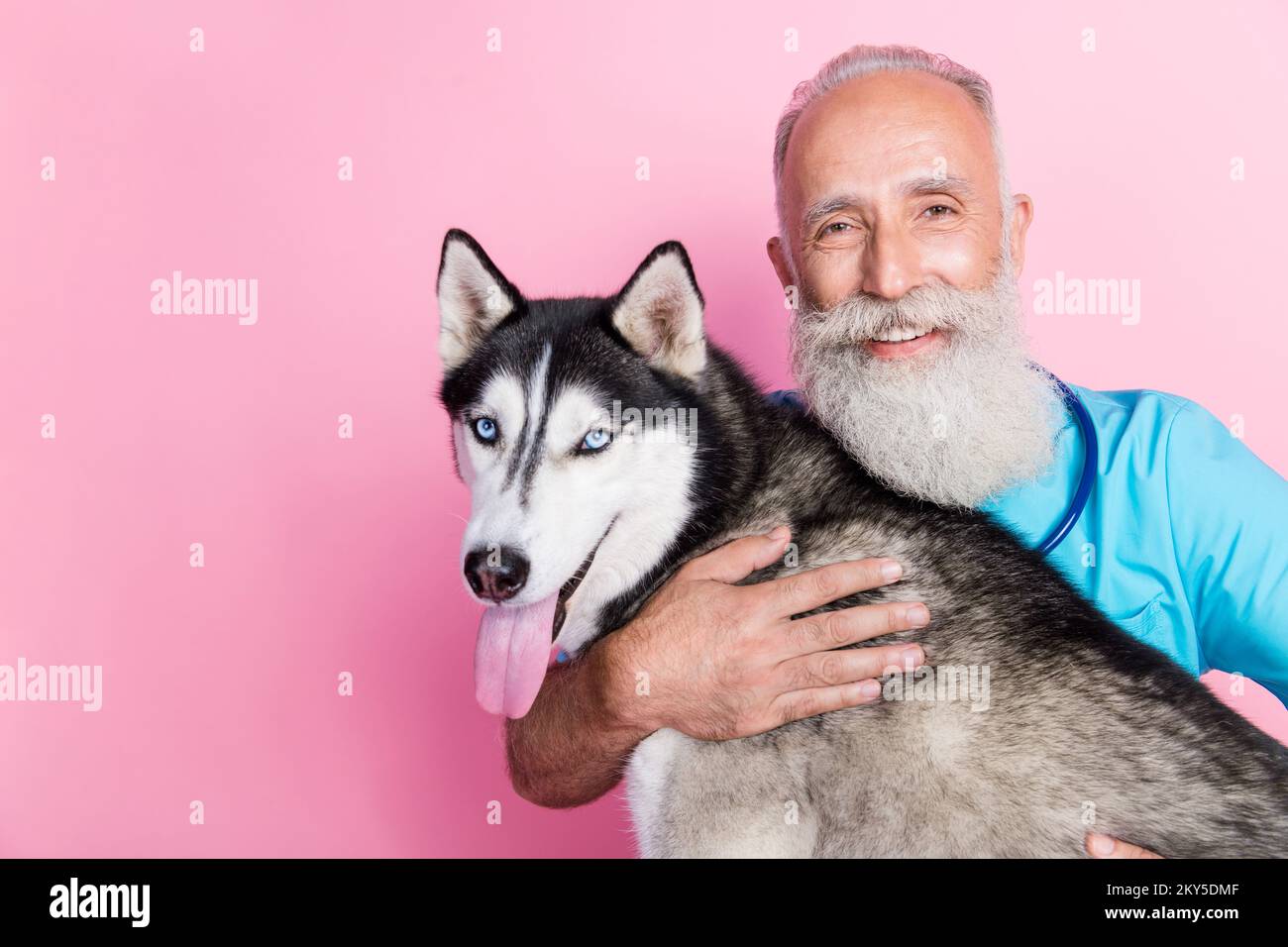Foto di uomo vet abbraccio coccole soffice malamuta alaska pubblicizzare di alta qualità servizio veterinario isolato colore sfondo pastello Foto Stock