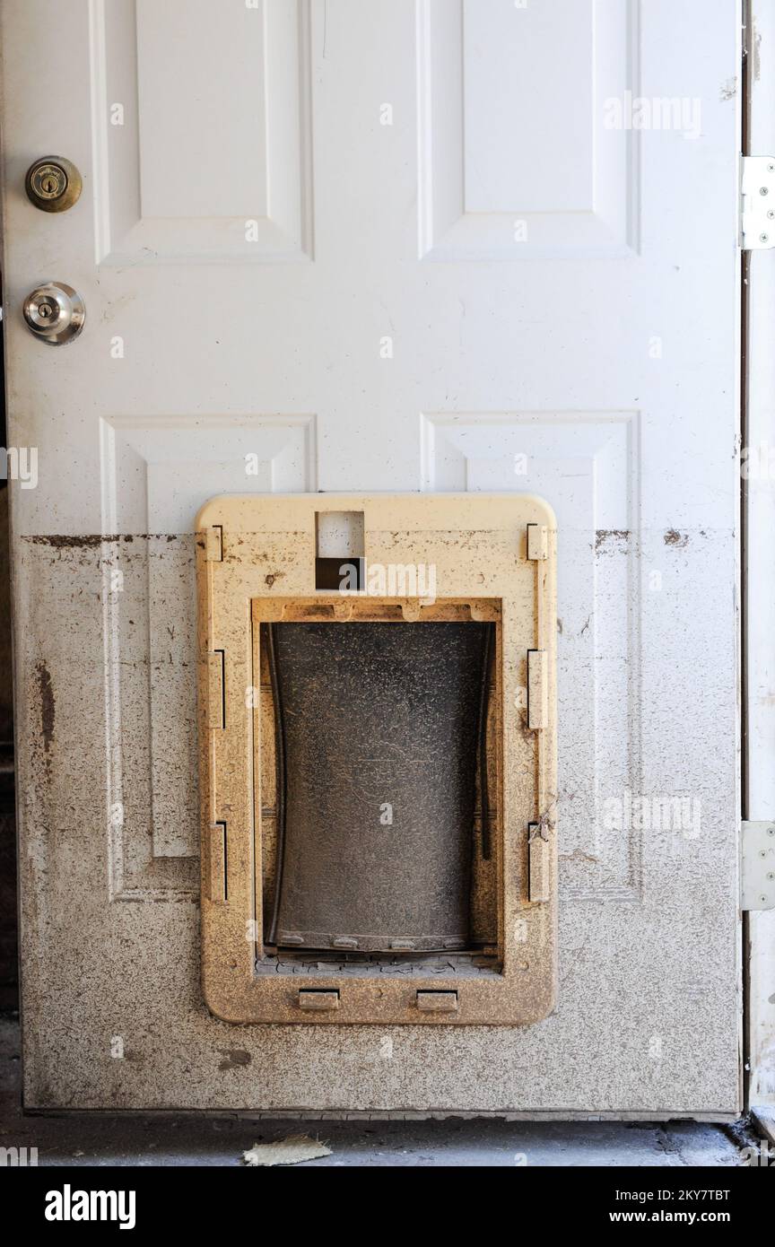 Evans, Colom., 25 settembre 2013 contrassegno dell'acqua alta su una casa in una casa di inondazione in Evans mostra appena quanto alto l'inondazione era. Colorado forti tempeste, inondazioni, frane e frane. Fotografie relative a disastri e programmi, attività e funzionari di gestione delle emergenze Foto Stock Evans, Colom., 25 settembre 2013 contrassegno dell'acqua alta su una casa in una casa di inondazione in Evans mostra appena quanto alto l'inondazione era. Colorado forti tempeste, inondazioni, frane e frane. Fotografie relative a disastri e programmi, attività e funzionari di gestione delle emergenze Foto Stock
