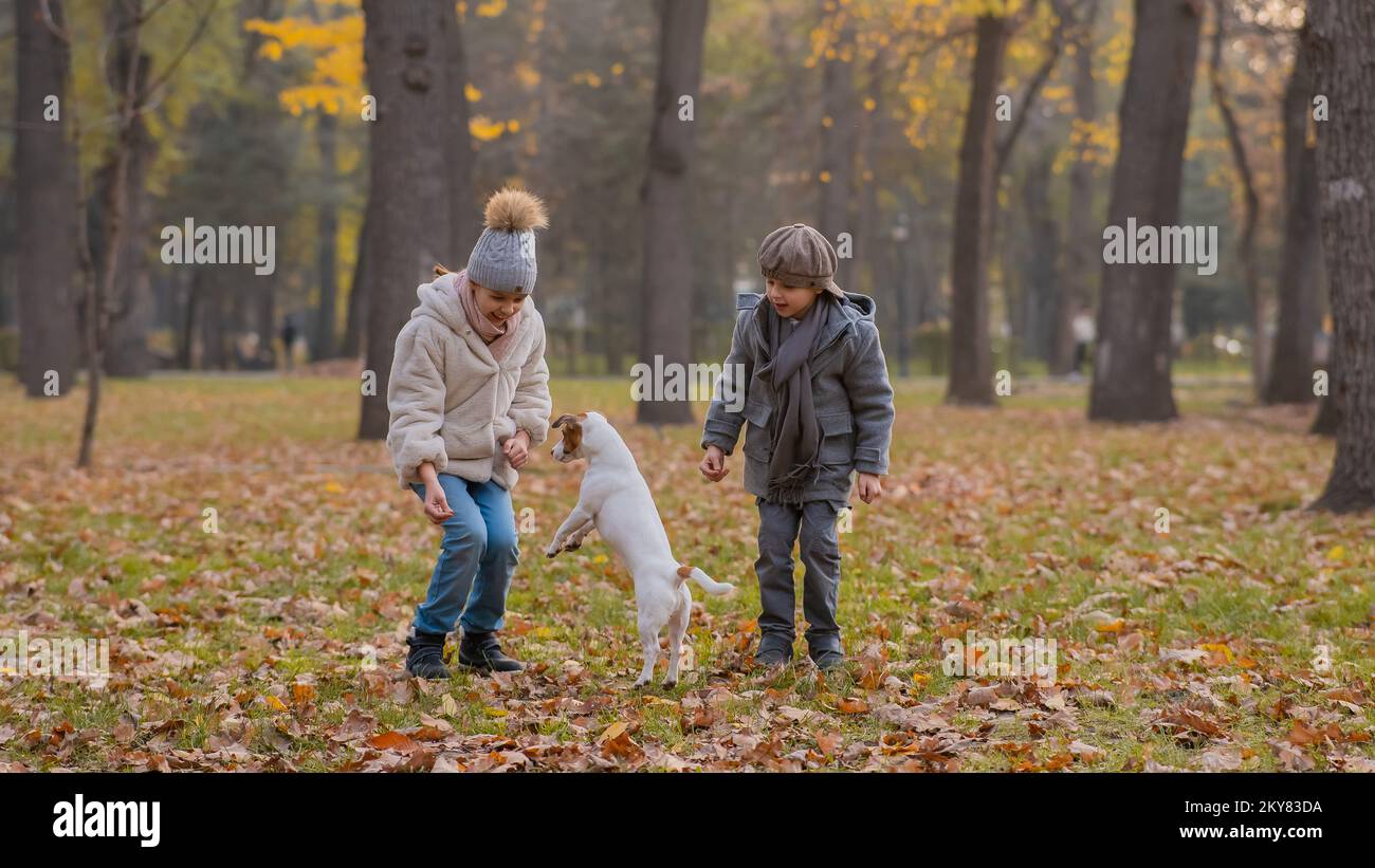 I bambini caucasici camminano con il corriere Jack russell nel parco autunnale. Ragazzo, ragazza e cane stanno saltando all'aperto. Foto Stock