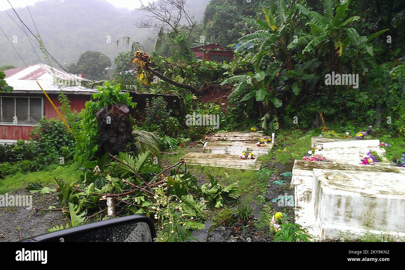 Alberi e detriti frana in casa e cortile nelle Samoa Americane nel 2014.. Alberi e detriti frana in casa e cortile nelle Samoa Americane nel 2014.. Fotografie relative a disastri e programmi, attività e funzionari di gestione delle emergenze Foto Stock