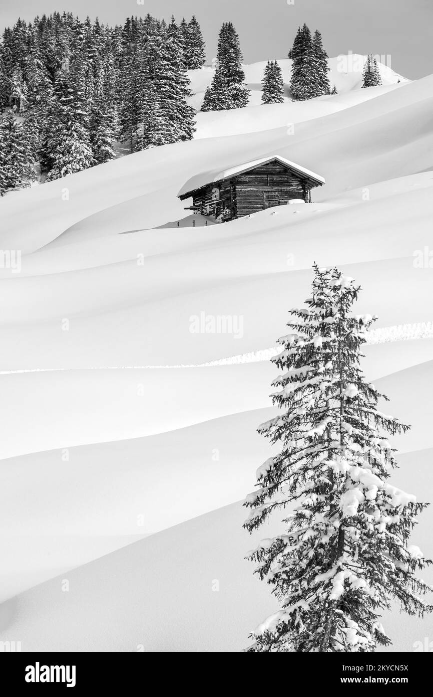 Fresco paesaggio invernale innevato con un edificio e una foresta in bianco e nero sulle montagne svizzere, Canton Berna, Svizzera Foto Stock