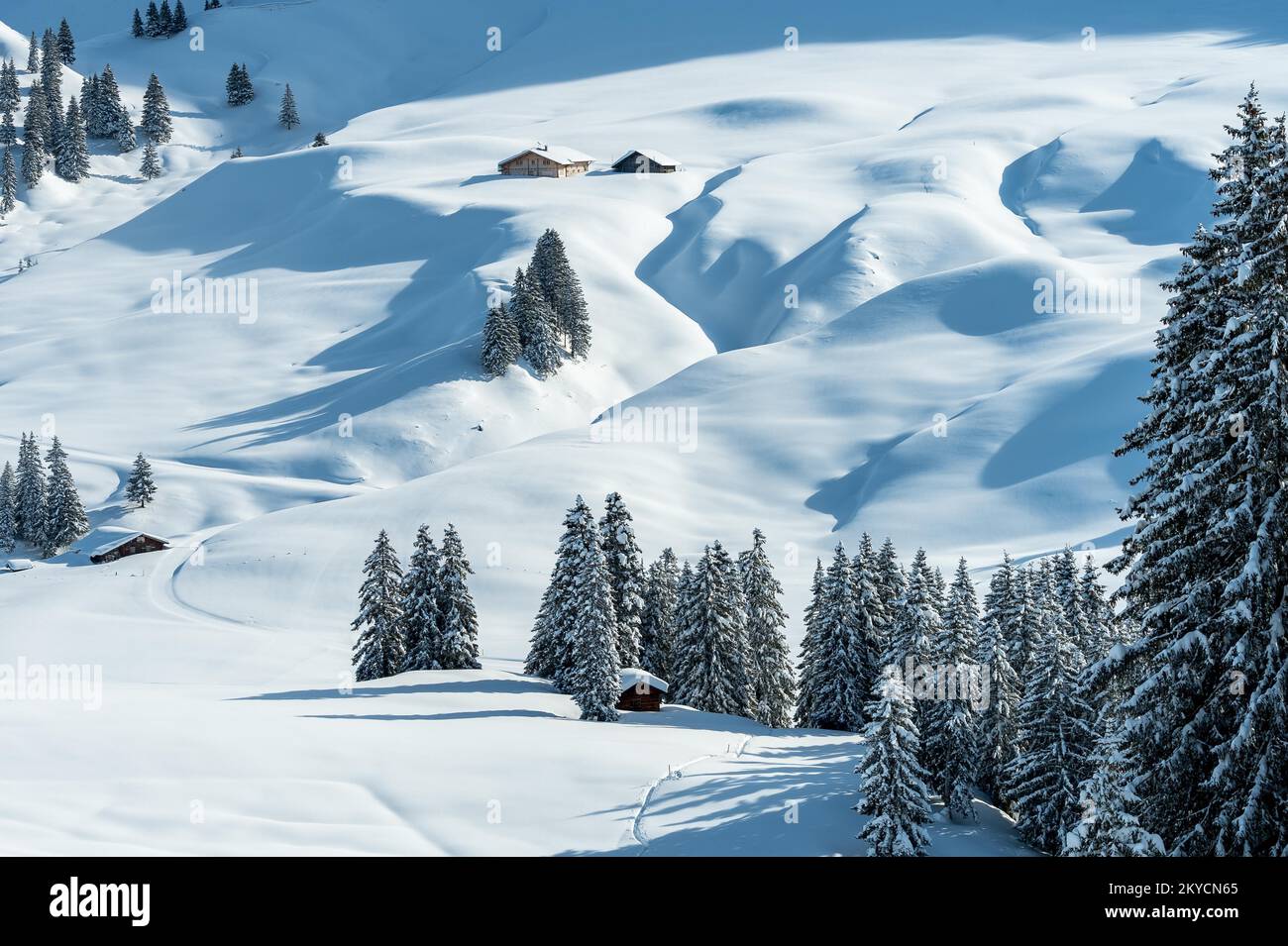 Paesaggio invernale fresco e innevato con un alp e una foresta nelle montagne svizzere, Canton Berna, Svizzera Foto Stock