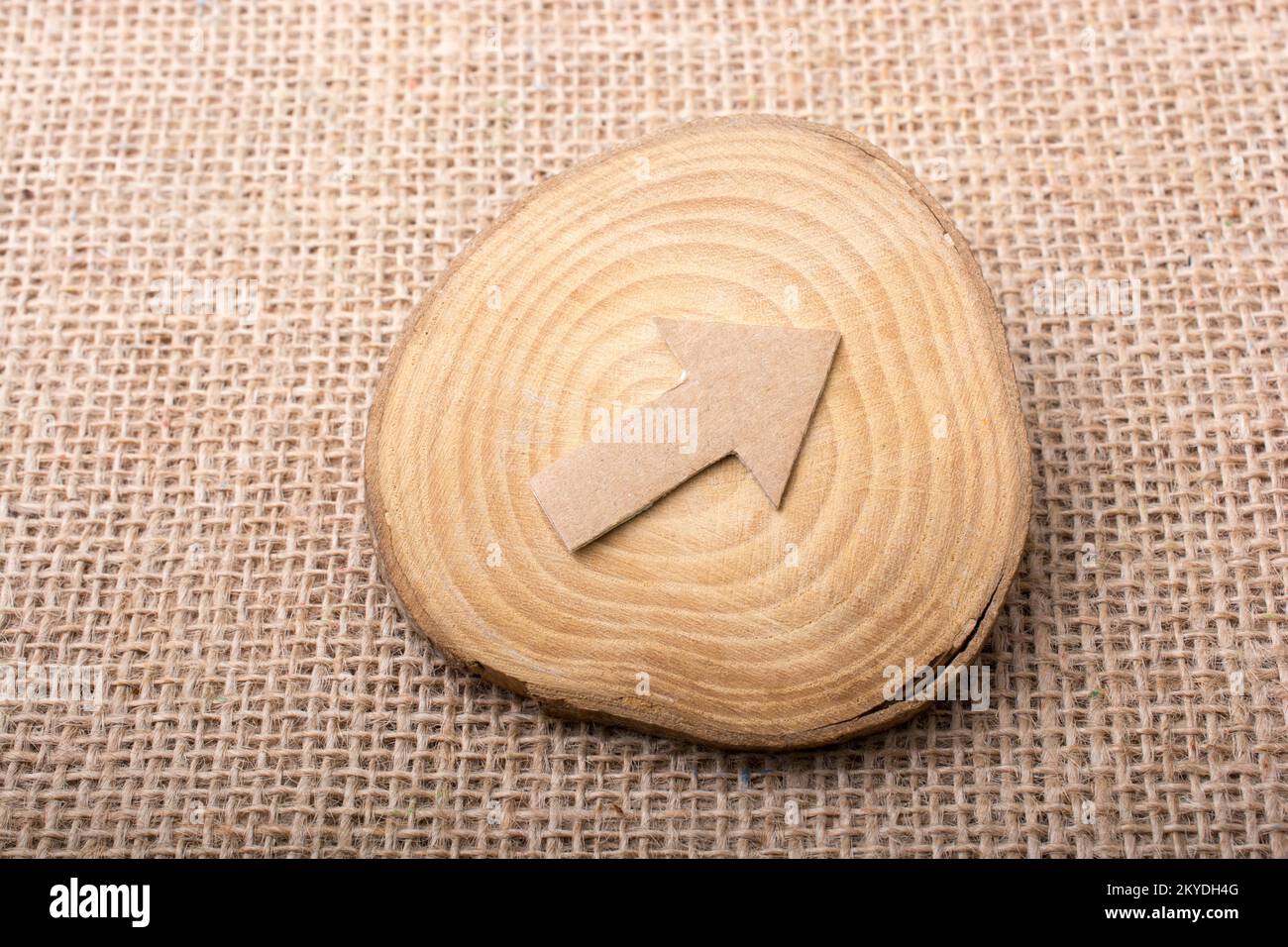 Segno di freccia tagliare al di fuori della carta marrone sul pezzo di legno Foto Stock