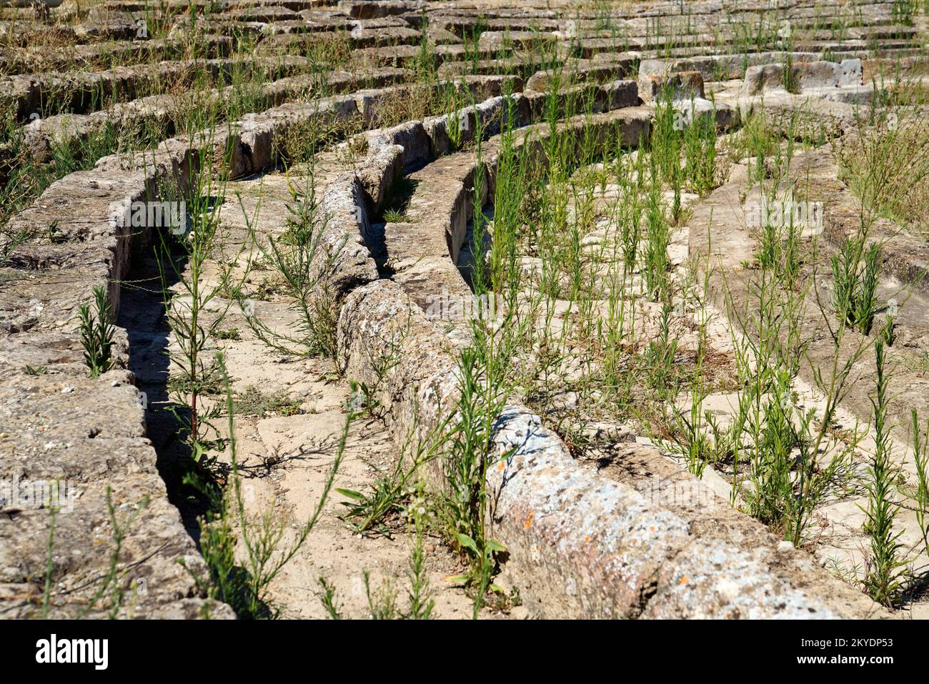 Sito Archeologico di Metaponto, Regione Basilicata, Provincia di Matera, Italia, Metaponto, Basilicata, Italia Foto Stock