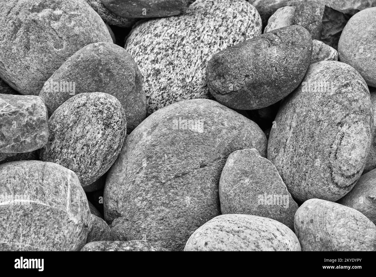 Piccole pietre marine texture per sfondo, immagine monocromatica. Foto Stock