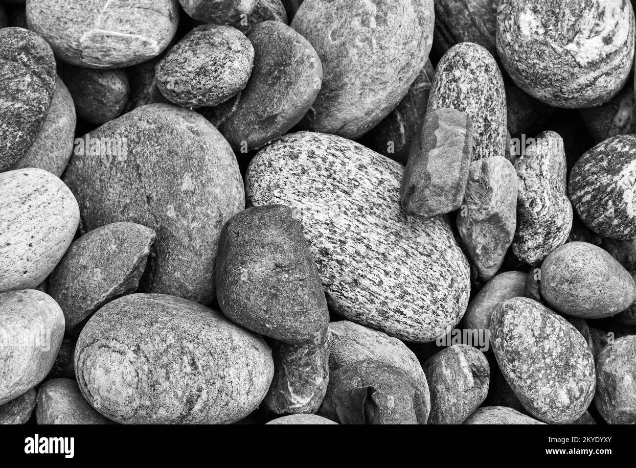 Piccole pietre marine texture per sfondo, immagine monocromatica. Foto Stock