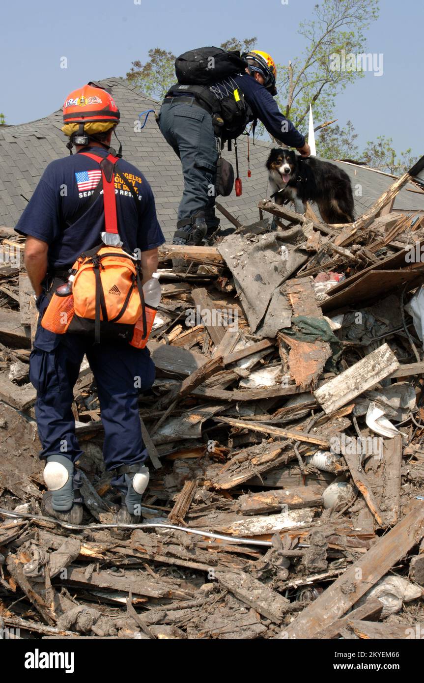 Uragano Katrina, New Orleans, LA, 19 settembre 2005 -- i membri della Task Force Ricerca e salvataggio urbano di FEMA utilizzano i loro cani di salvataggio per cercare i residenti colpiti dall'uragano Katrina. Jocelyn Augustino/FEMA Foto Stock