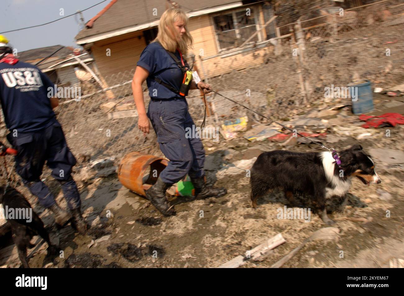Uragano Katrina, New Orleans, LA, 19 settembre 2005 -- i membri della Task Force Ricerca e salvataggio urbano di FEMA utilizzano i loro cani di salvataggio per cercare i residenti colpiti dall'uragano Katrina. Jocelyn Augustino/FEMA Foto Stock