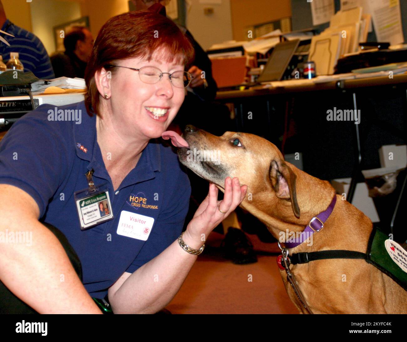 Uragano Katrina, Baton Rouge, LA, 19 dicembre 2005 - Amy Rideout, rappresentante della risposta alle crisi della speranza, riceve un leccato sul mento dal cane di terapia Janie presso l'ufficio del campo congiunto di Baton Rouge. Dodici cani sono stati portati qui per fornire un certo rilievo di sforzo e conforto alle vittime di uragano sfollate in tutta la zona. Robert Kaufmann/FEMA Foto Stock