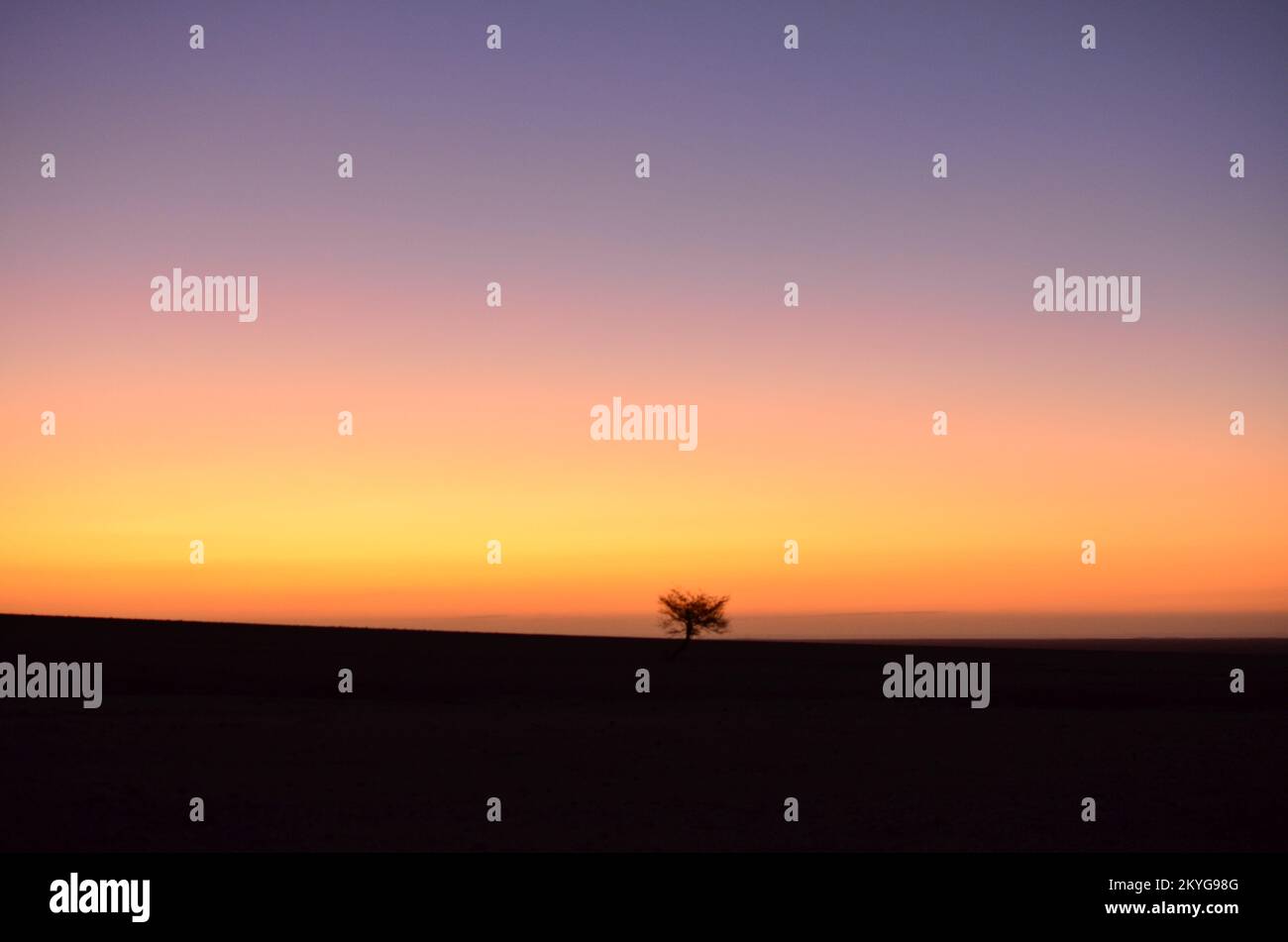 Lonely Tree in Sunset colorfull Dark Sky Silhouette mirabib Foto Stock