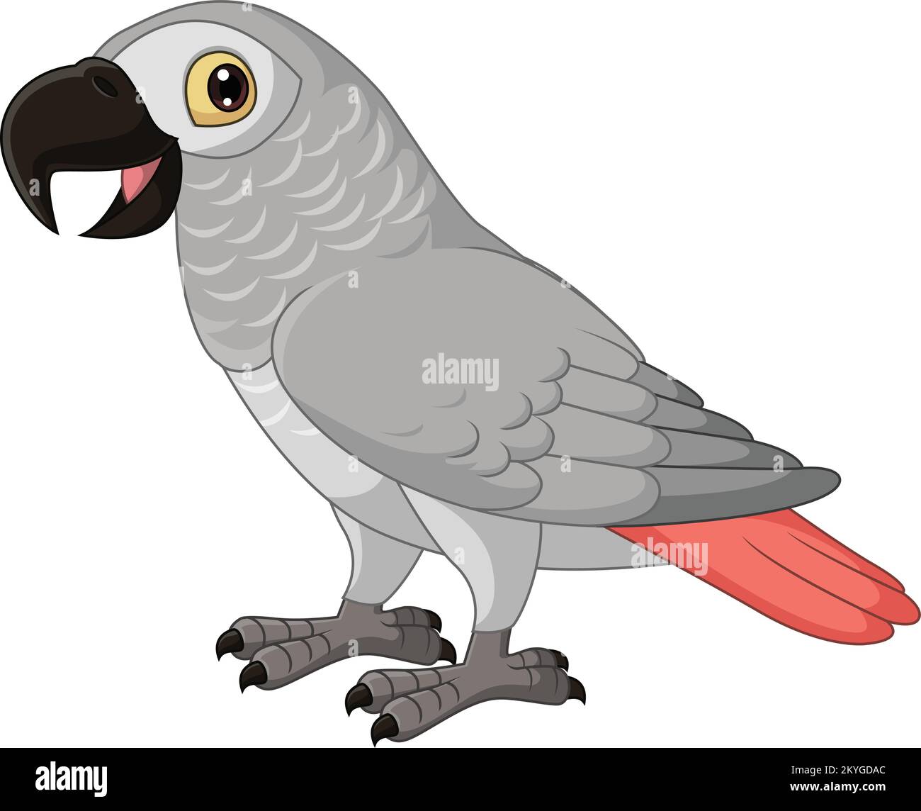 Cartoon Congo Parrot Grigio su sfondo bianco Illustrazione Vettoriale
