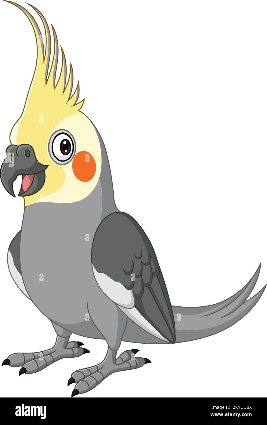 Cartoon Gray cockatiel su sfondo bianco Illustrazione Vettoriale