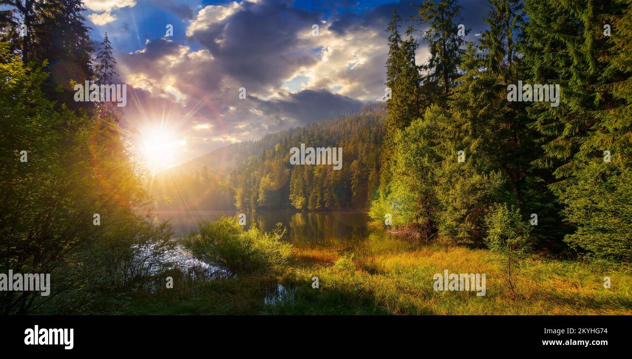 lago tra la foresta di abete rosso al tramonto. paesaggio naturale mozzafiato sulle montagne carpazi. soleggiato clima estivo con nuvole sul cielo alla luce della sera. Foto Stock