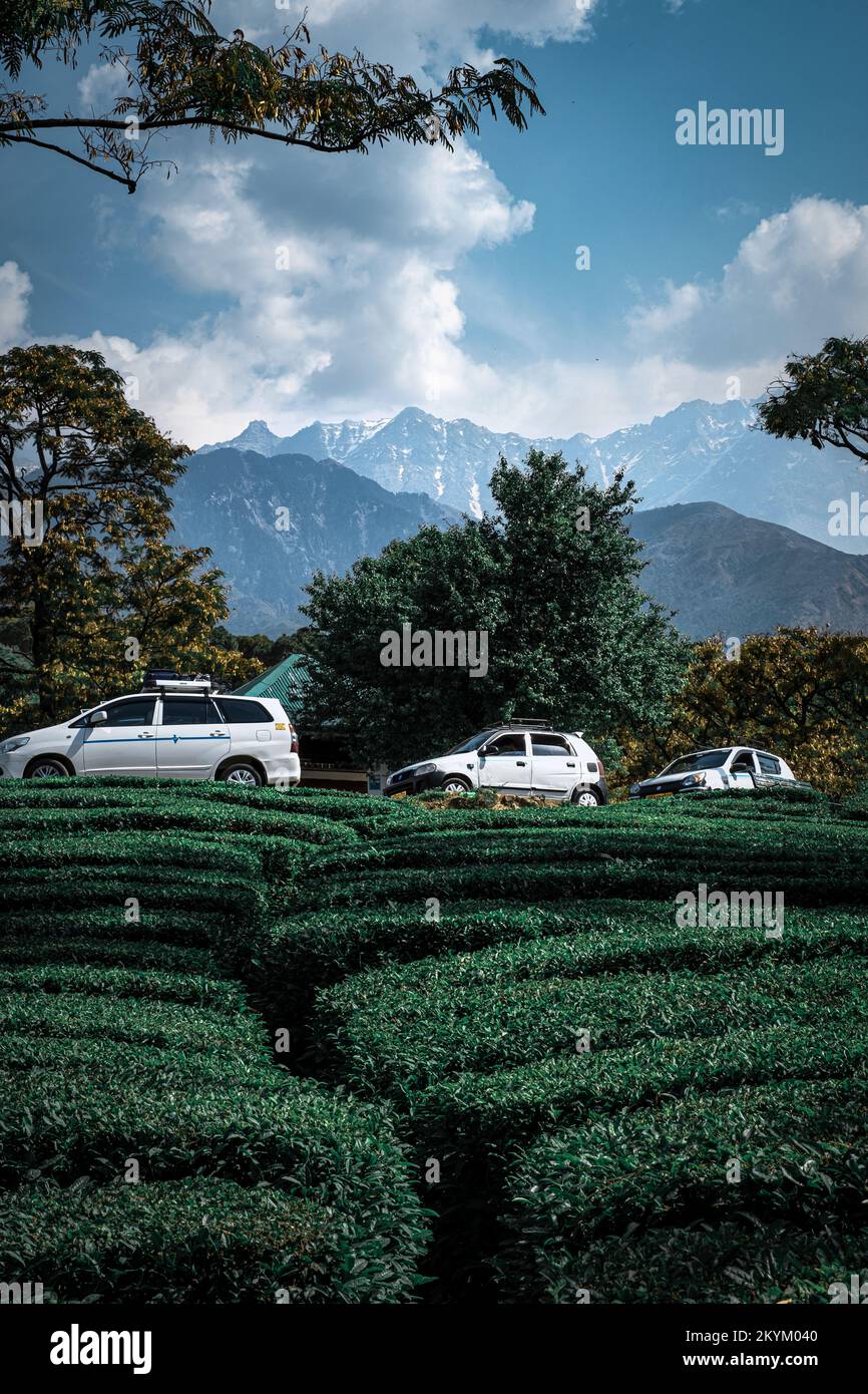 Foto delle splendide montagne di Himalaya Foto Stock