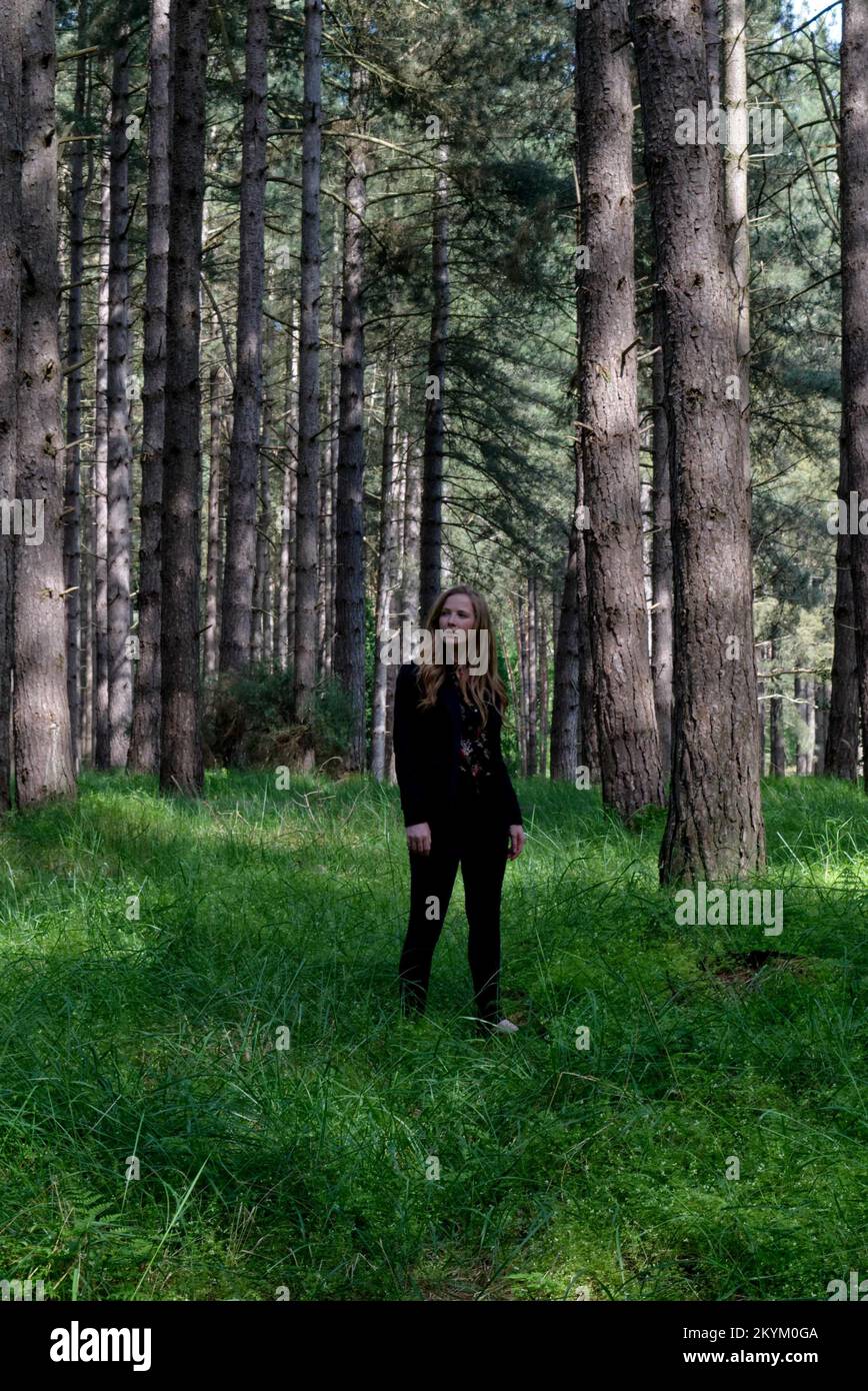 Giovane donna in una pineta che cammina tra i pini. Foto Stock
