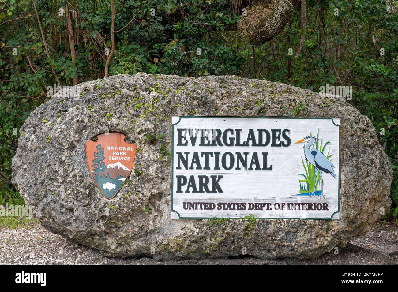 Parco nazionale delle Everglades Foto Stock