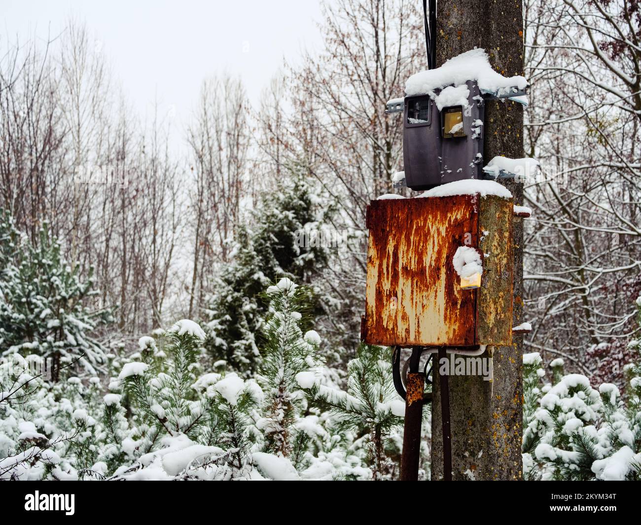 Scatola di derivazione elettrica nel parco su un palo chiuso con un lucchetto coperto di neve Foto Stock