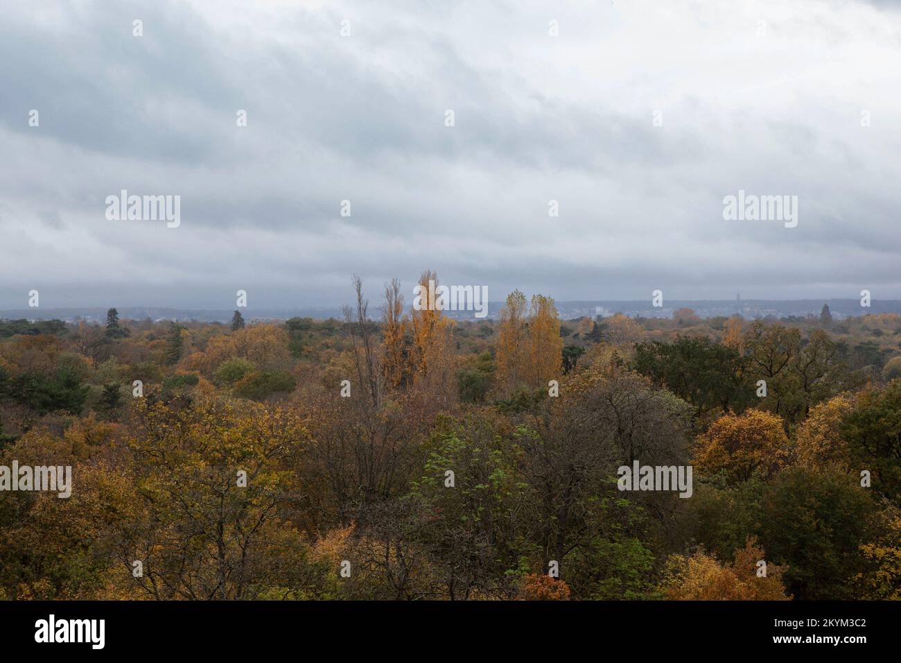Veduta aerea del Bois de Boulogne a Parigi Foto Stock