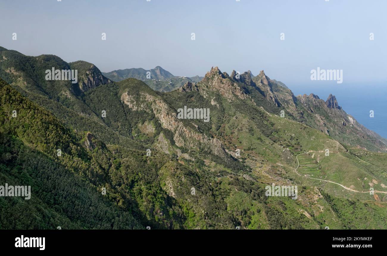 Roques del Fraile Cime vulcaniche e pendici ricoperte di foresta di Laurel, vicino a Taganana, montagne di Anaga, Anaga Rural Park, Tenerife, Isole Canarie, Spagna, Nov Foto Stock